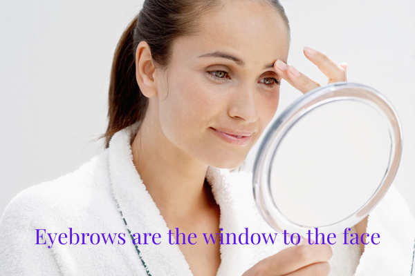 Eyebrows are the window to the face